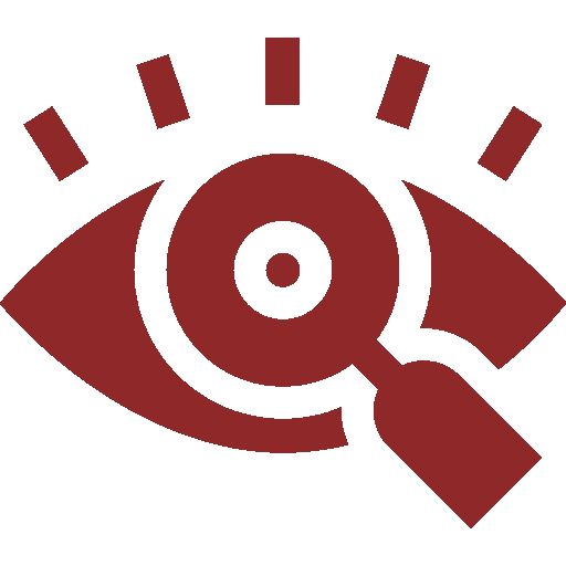 vision